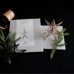 Wooden star on a postcard package next to spruce tree branches